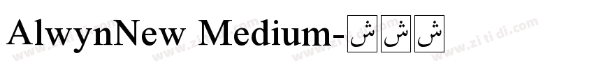 AlwynNew Medium字体转换